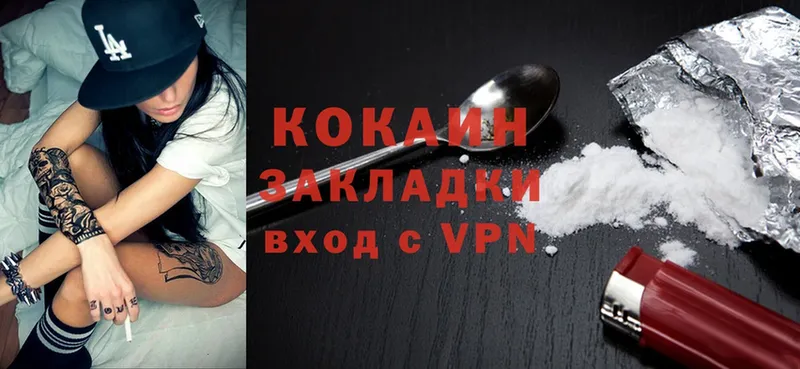 сколько стоит  Шуя  Cocaine Fish Scale 